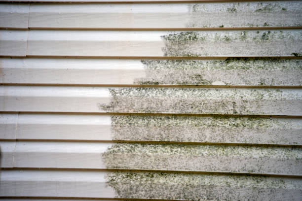 Best Hoarding Cleanup  in Cloverdale, IN